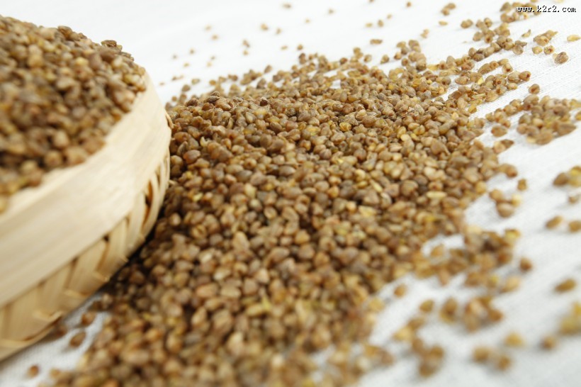 健康苦荞米图片