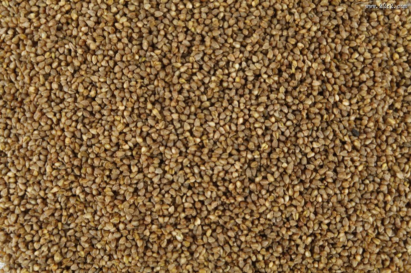 健康苦荞米图片