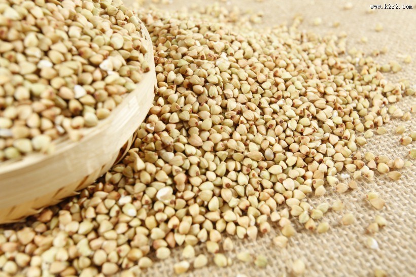 健康苦荞米图片