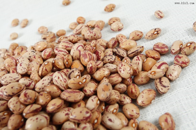 漂亮好吃的奶花豆图片大全