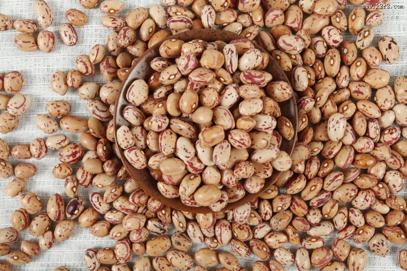 漂亮好吃的奶花豆图片大全