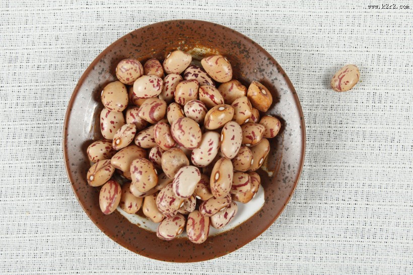 漂亮好吃的奶花豆图片大全