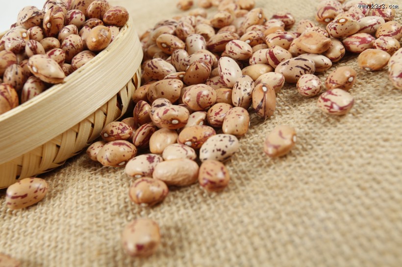 漂亮好吃的奶花豆图片大全