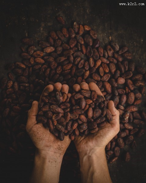 黑色的咖啡豆图片