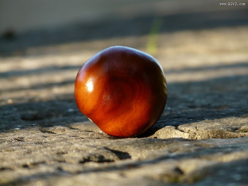 美味可口的板栗图片大全