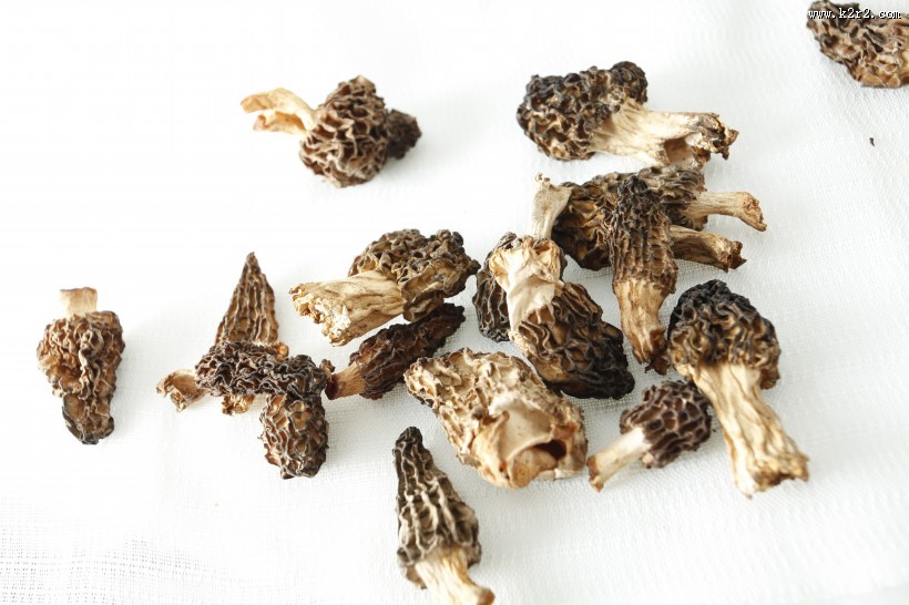 怪异珍贵的羊肚菌图片