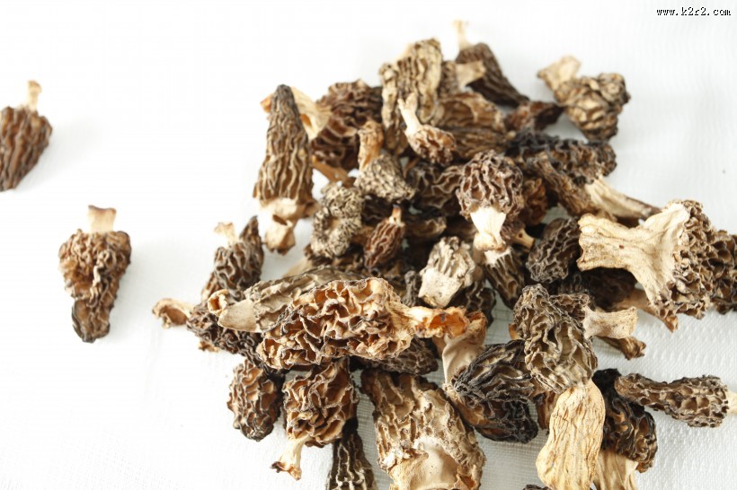 怪异珍贵的羊肚菌图片