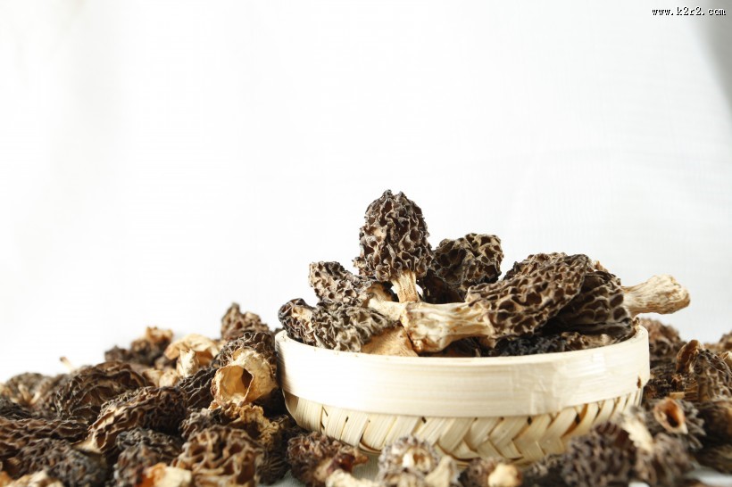 怪异珍贵的羊肚菌图片