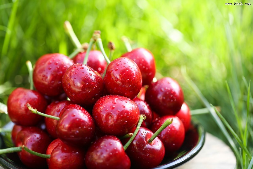 红色诱人樱桃图片