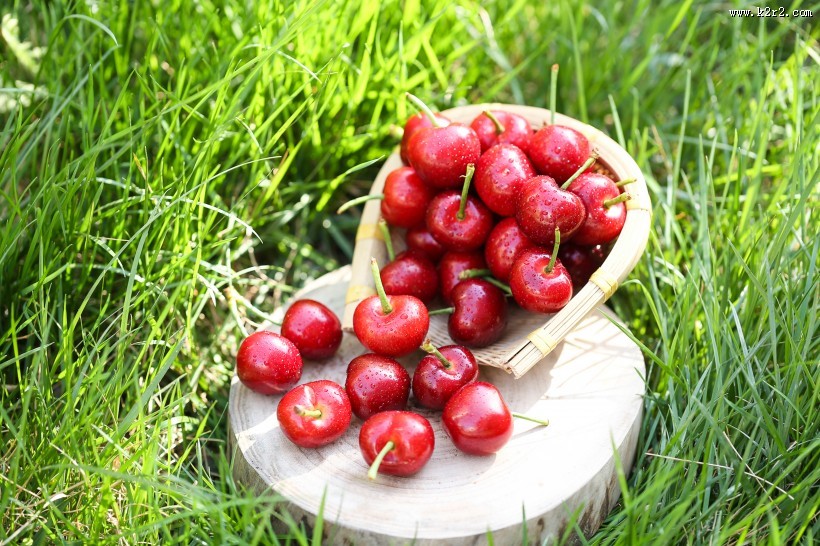 红色诱人樱桃图片