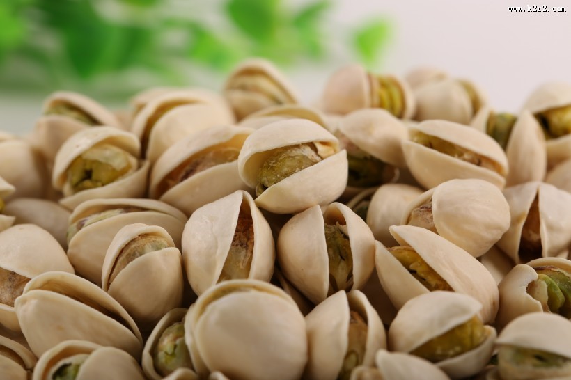 洁白的开心果图片