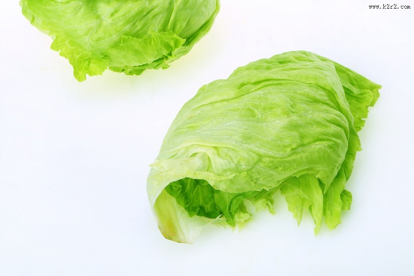 翠绿鲜嫩的生菜图片大全