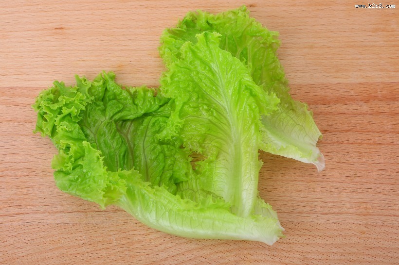 翠绿鲜嫩的生菜图片大全