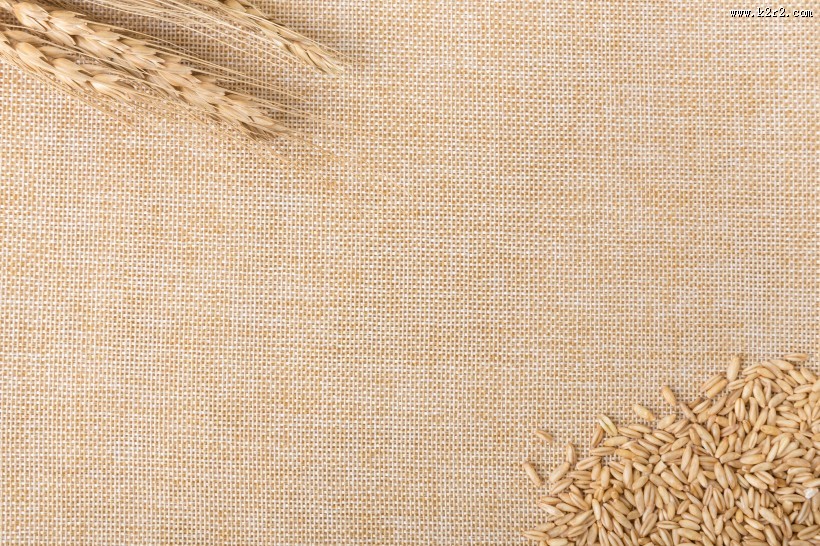 五谷杂粮燕麦图片大全