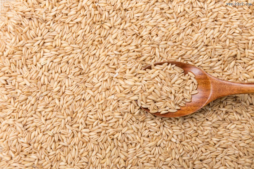 五谷杂粮燕麦图片大全