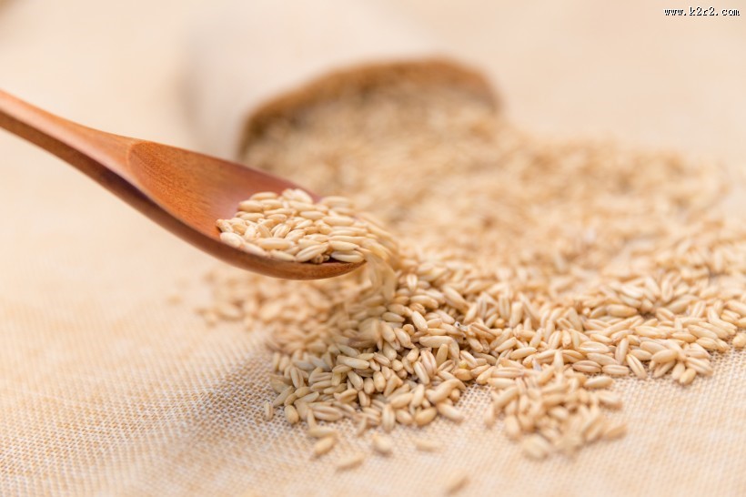 五谷杂粮燕麦图片大全