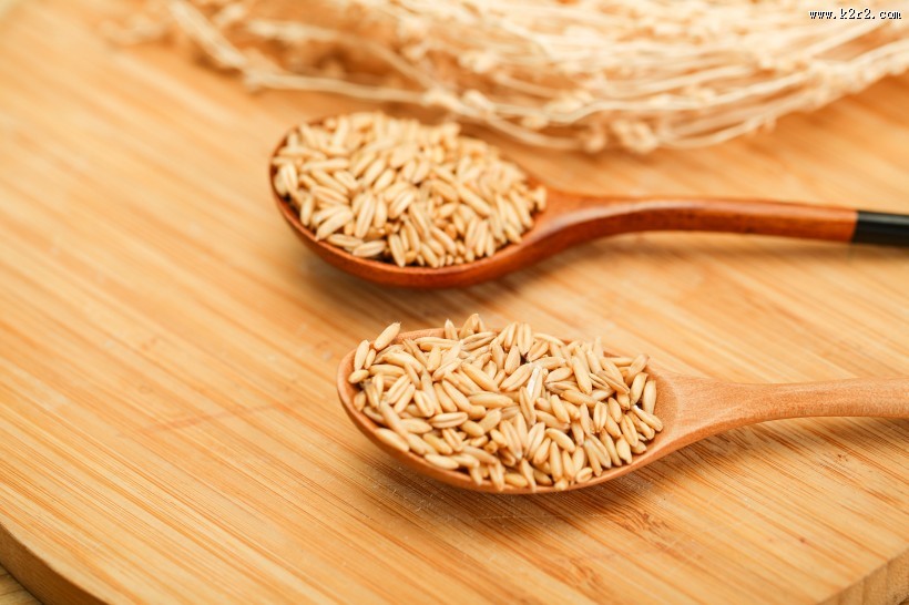 五谷杂粮燕麦图片大全