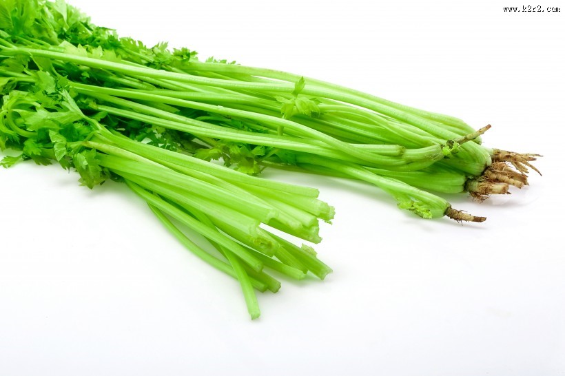 绿色有机芹菜图片