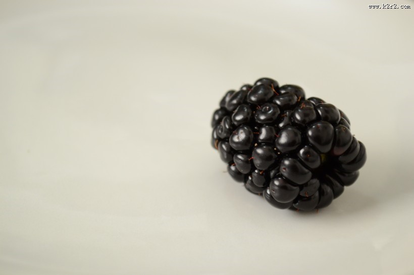 酸甜可口的桑葚图片