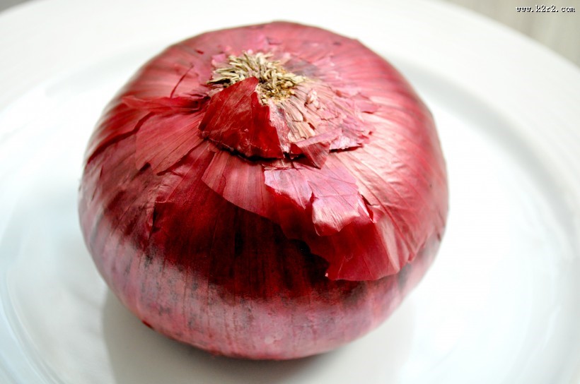 辛辣洋葱图片