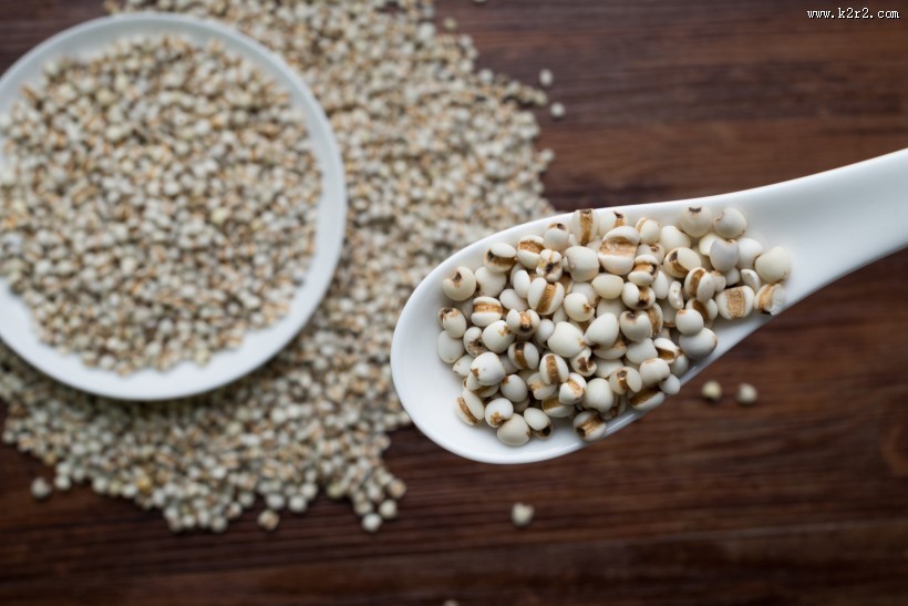 颗粒饱满的薏米图片
