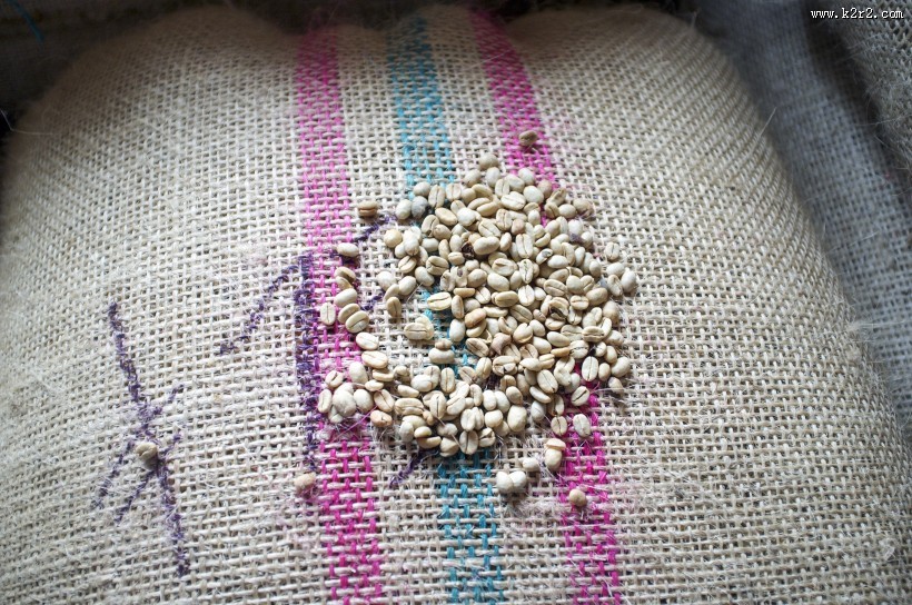 颗粒饱满的薏米图片