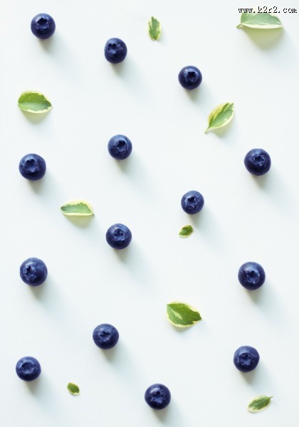 精选蓝莓图片