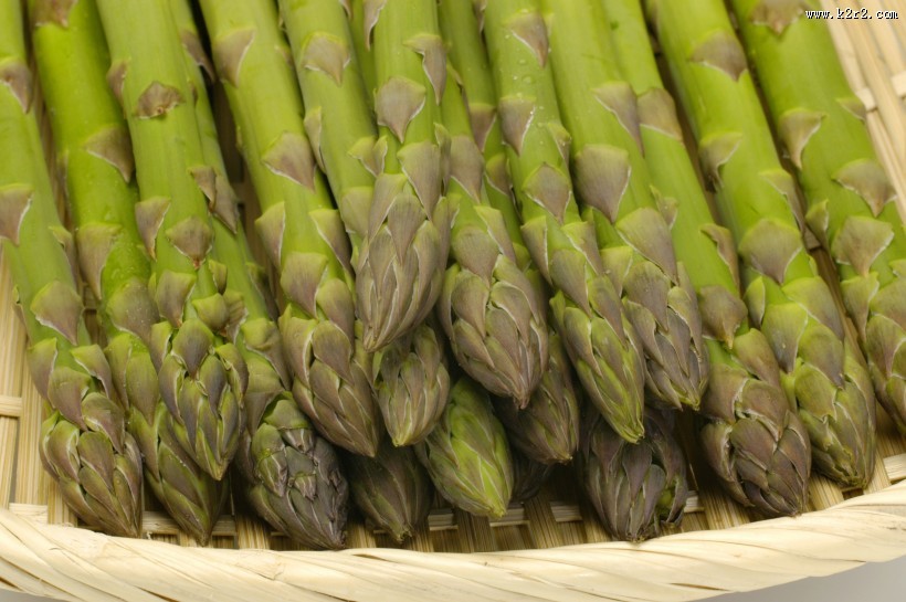 新鲜嫩绿的竹笋图片