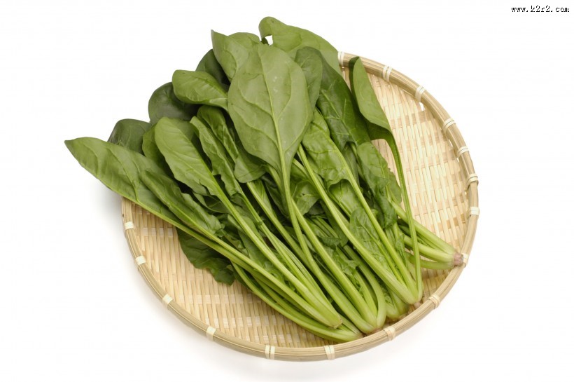 绿色鲜嫩的菠菜图片
