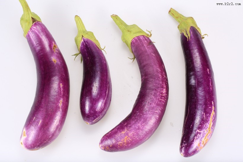紫色营养的茄子图片