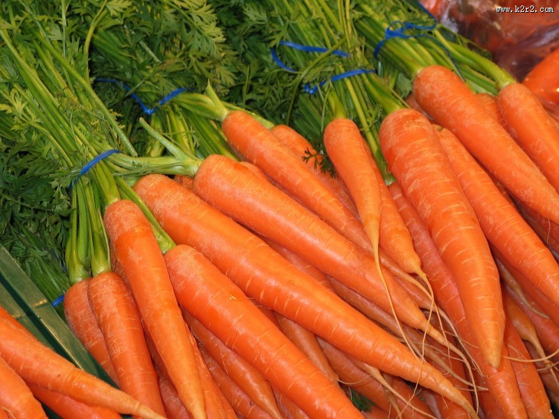 新鲜的胡萝卜图片