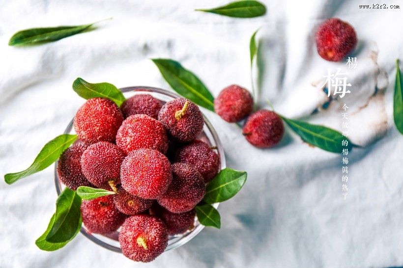 红色新鲜的杨梅图片