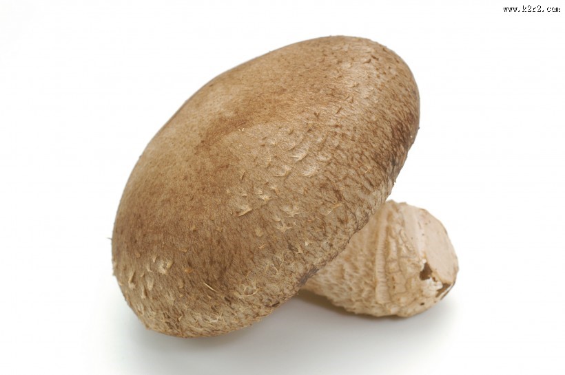 新鲜的香菇图片