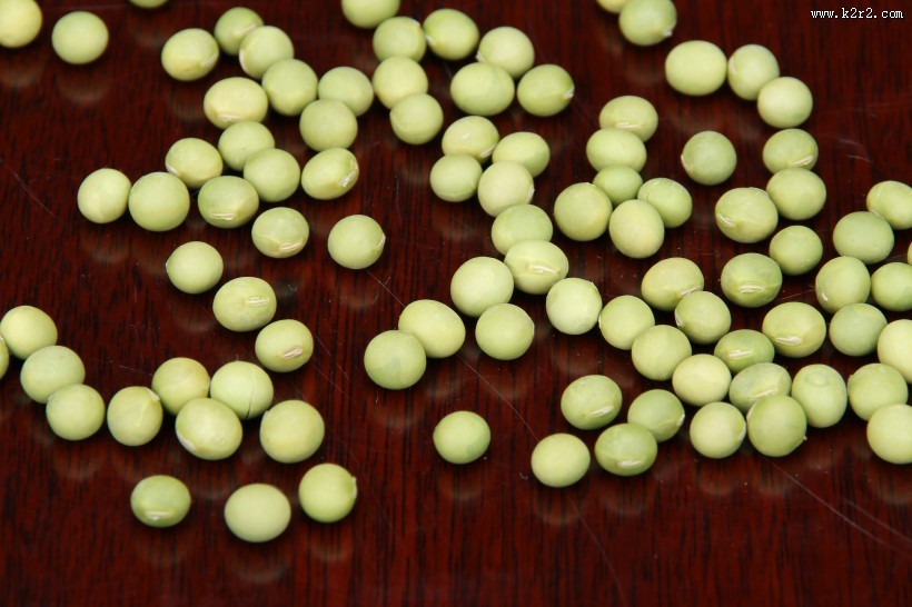 清凉解暑的绿豆图片