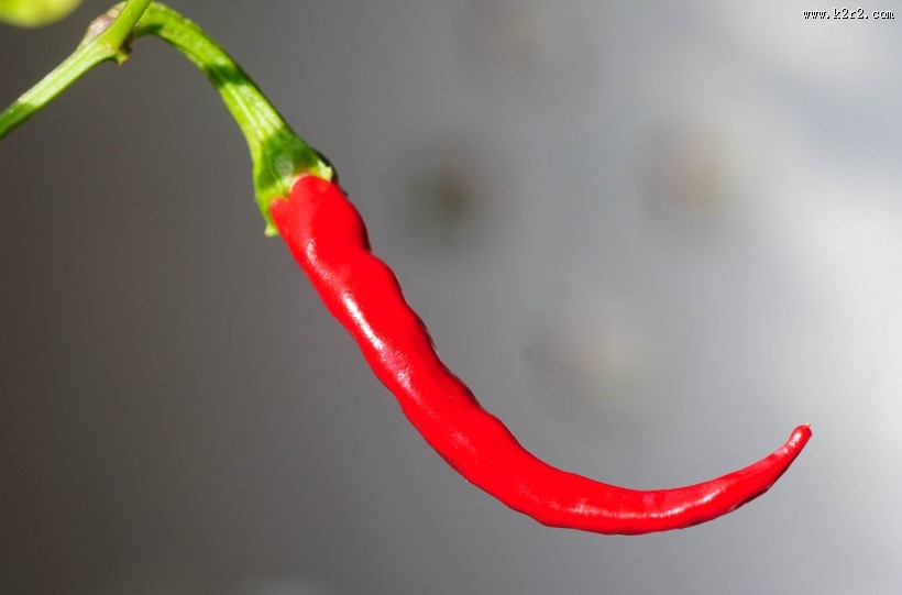 鲜红的辣椒图片