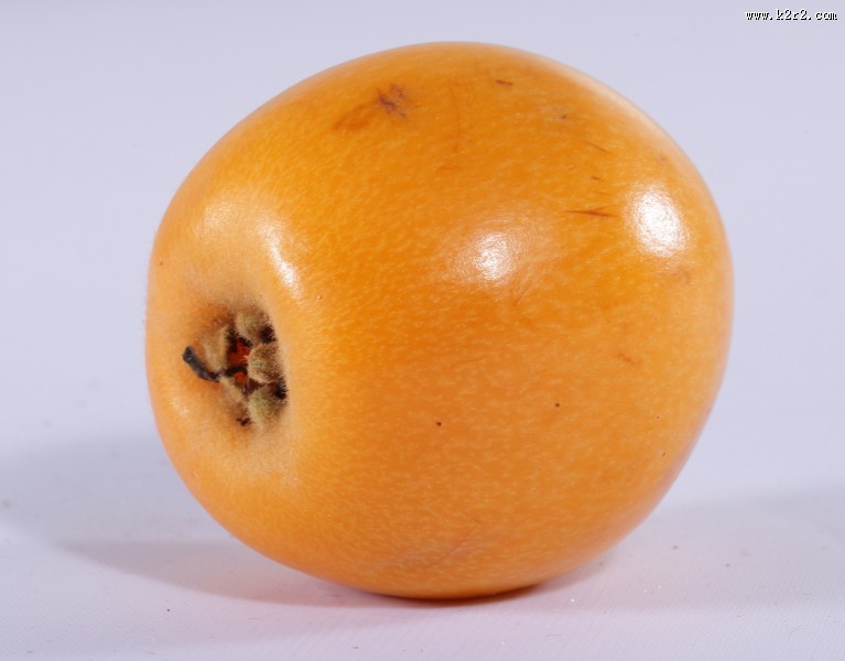 黄色的枇杷图片大全