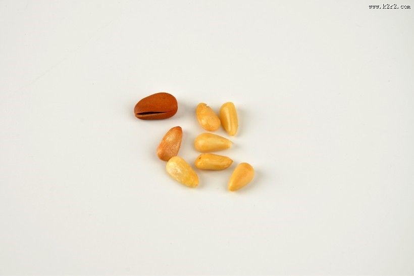 好吃的松子图片