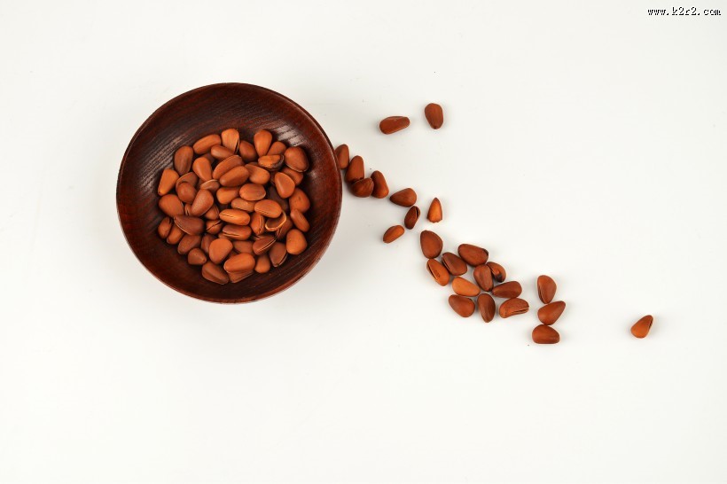 好吃的松子图片