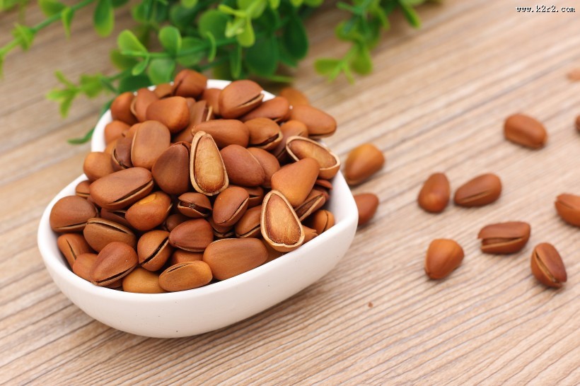 好吃的松子图片