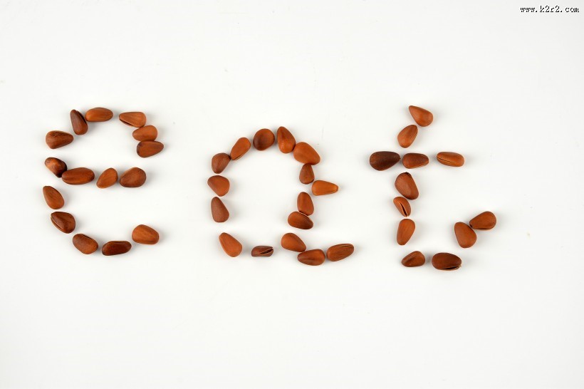 好吃的松子图片