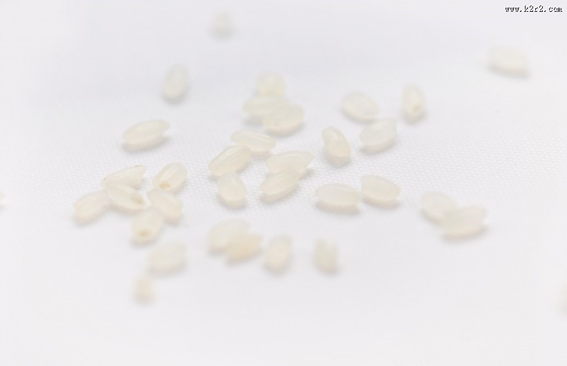 白色的大米图片