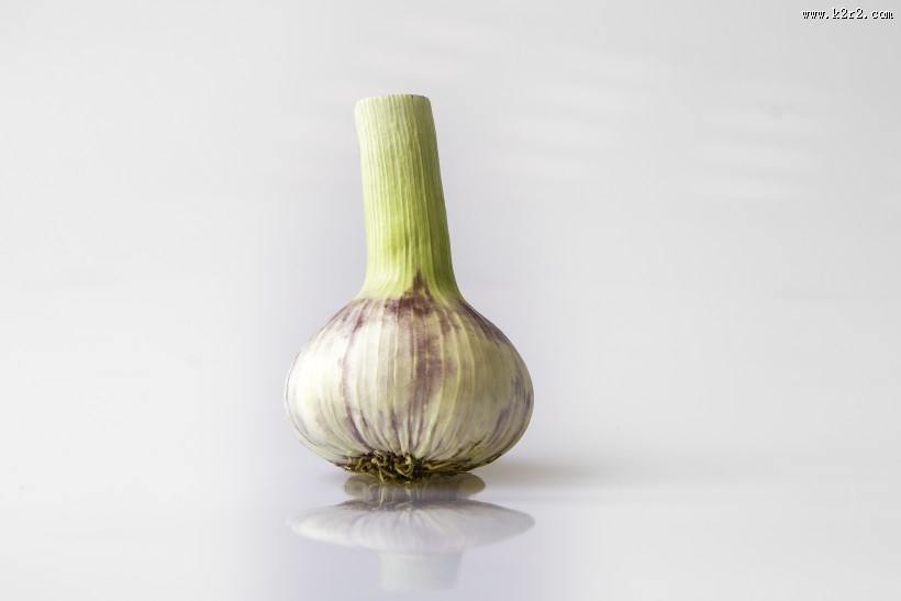 辛辣的大蒜图片大全