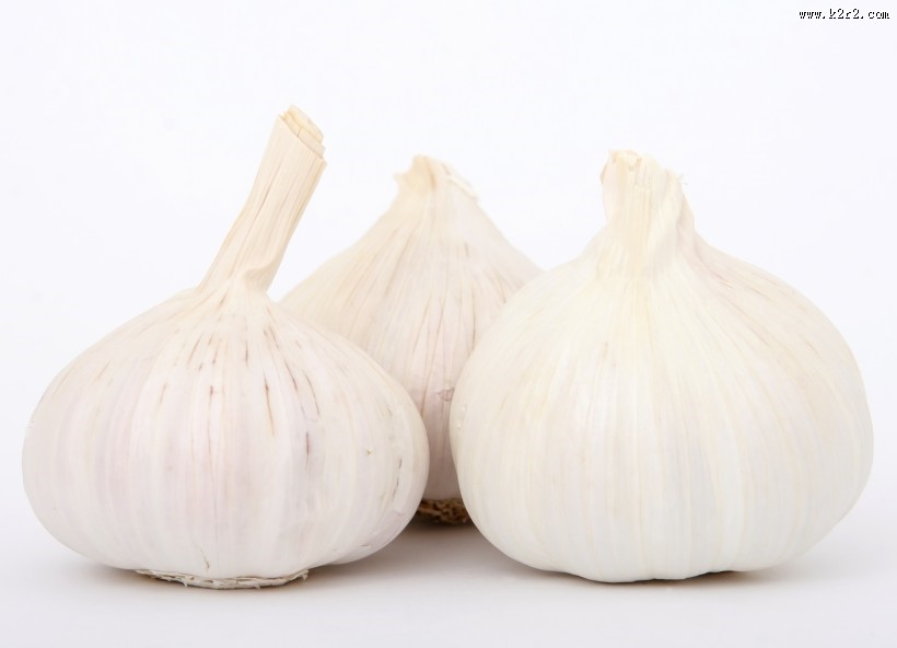 辛辣的大蒜图片大全