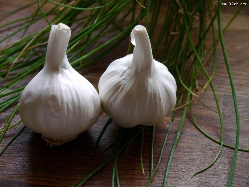 辛辣的大蒜图片大全