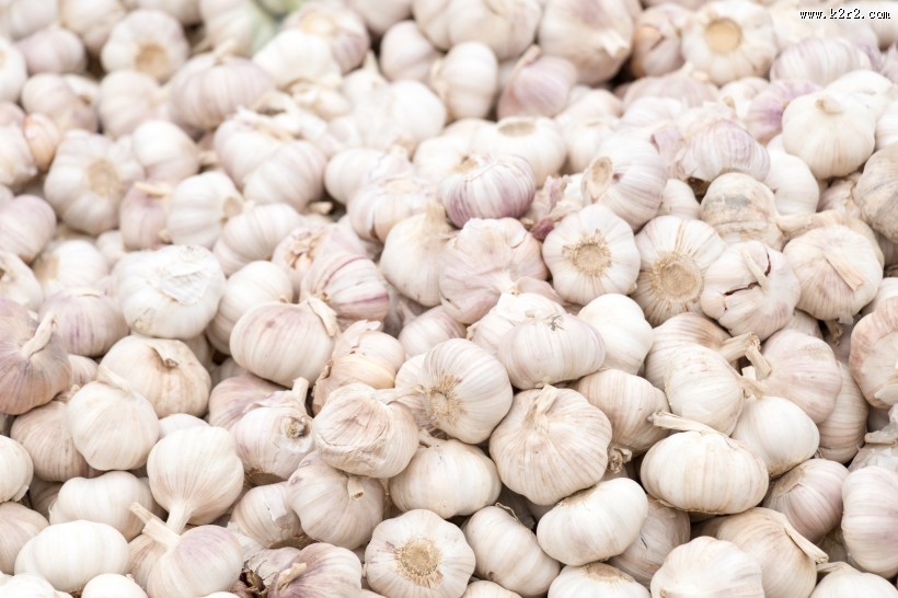 厨房里的大蒜图片