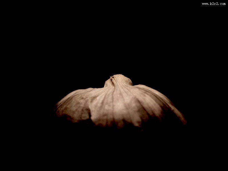 厨房里的大蒜图片