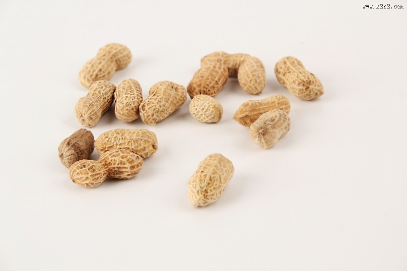 带壳的花生图片