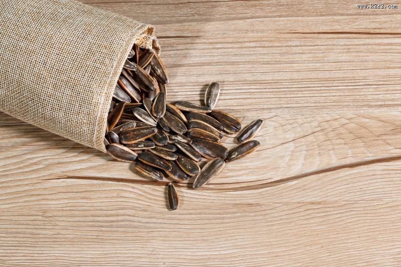 休闲零食瓜子图片