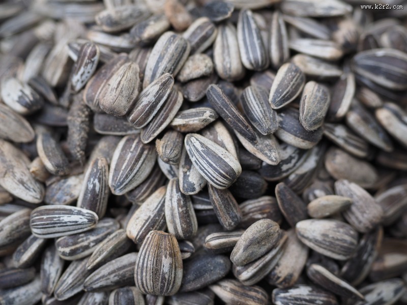 休闲零食瓜子图片