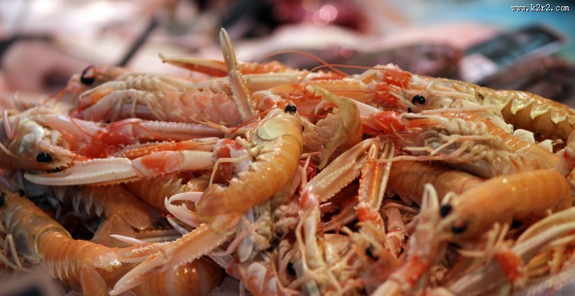 美味营养的大虾图片